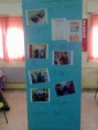 /album/fotogaleria/a18052011422-jpg1/